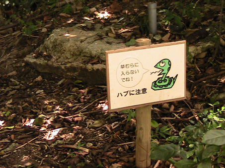 they even have the habu okinawan deadly snake sign