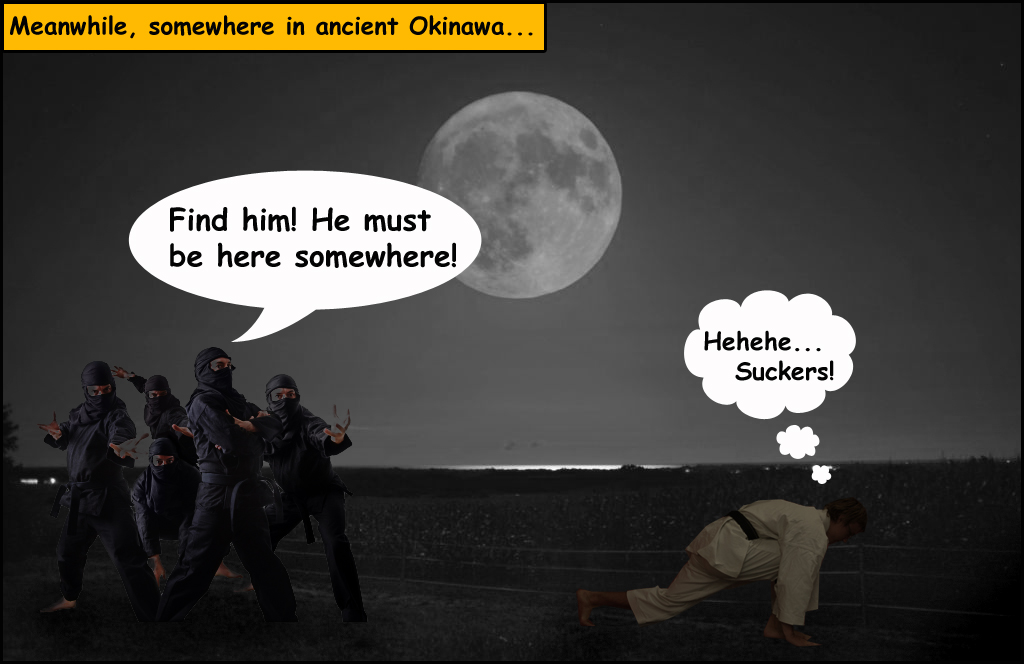 ninja-search-moonlight-kusanku