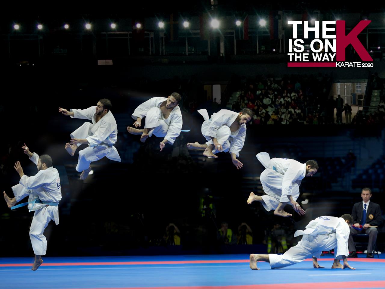 TIENDAS OFICIALES DE MATERIAL DE KARATE karatekid9397